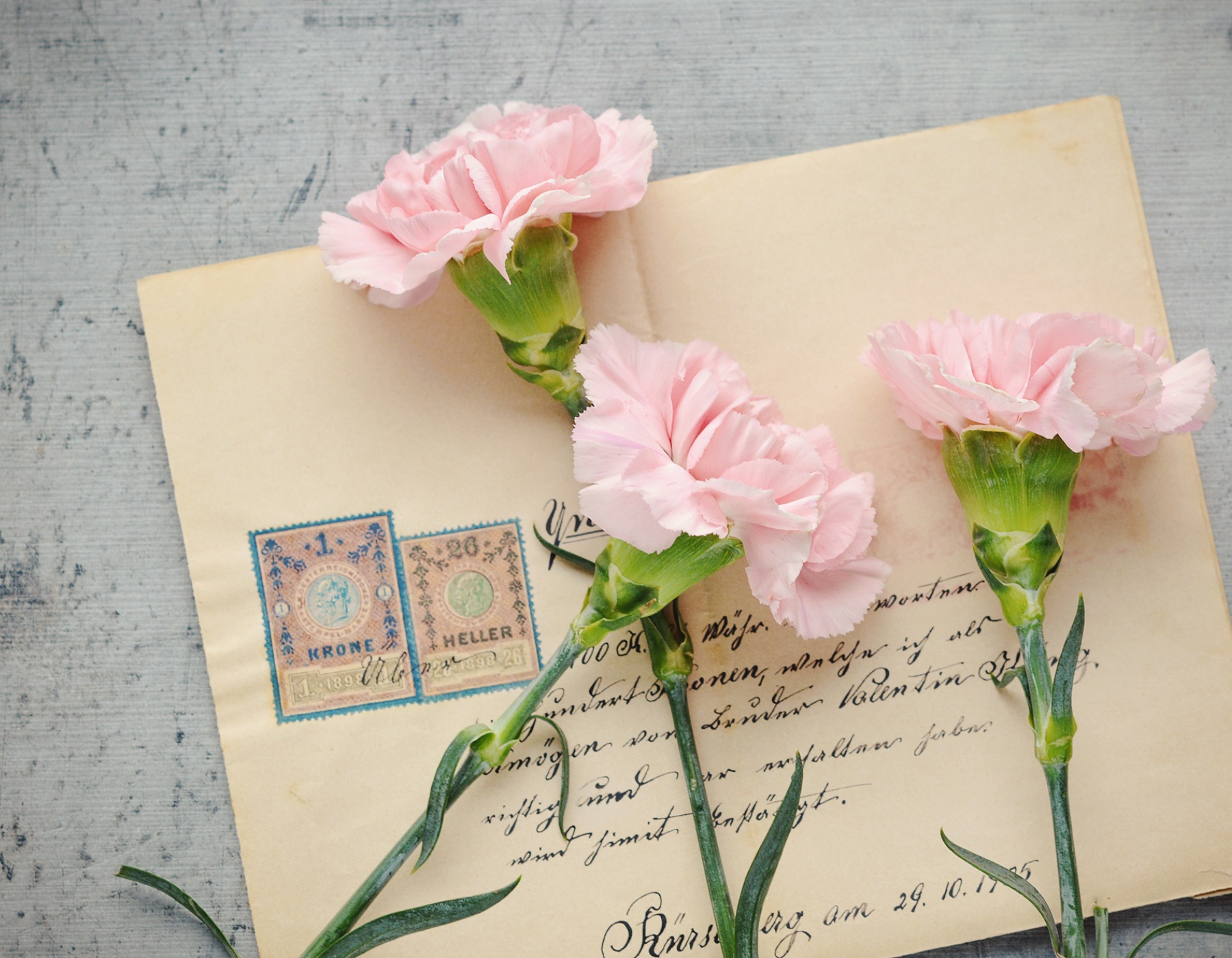 Brievenbusbloemen bloempost